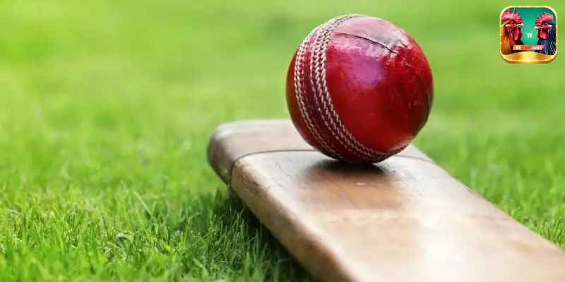 Cricket Betting at Babu88: Your Gateway to Top Odds and Thrilling Matches 3 access to a global calendar of exciting matches