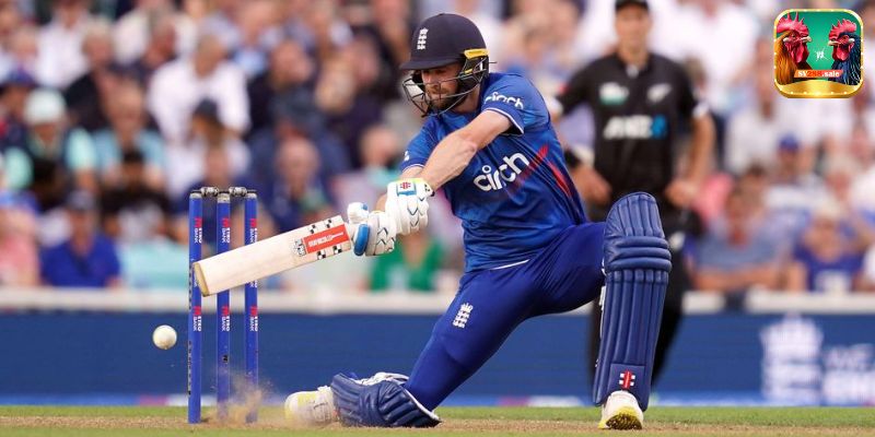 Cricket Betting at Babu88: Your Gateway to Top Odds and Thrilling Matches 4 Maximizing Your Winnings with Competitive Odds and Promotions