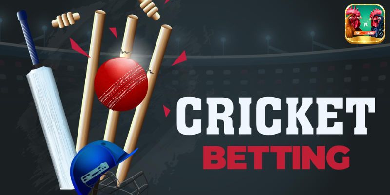 Cricket Betting at Babu88: Your Gateway to Top Odds and Thrilling Matches 1 unlocking a world of cricket betting opportunities